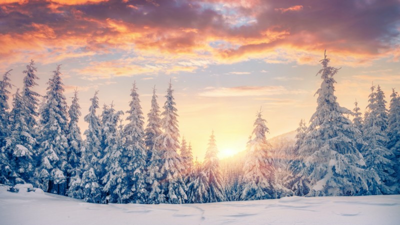Self Storage in the winter