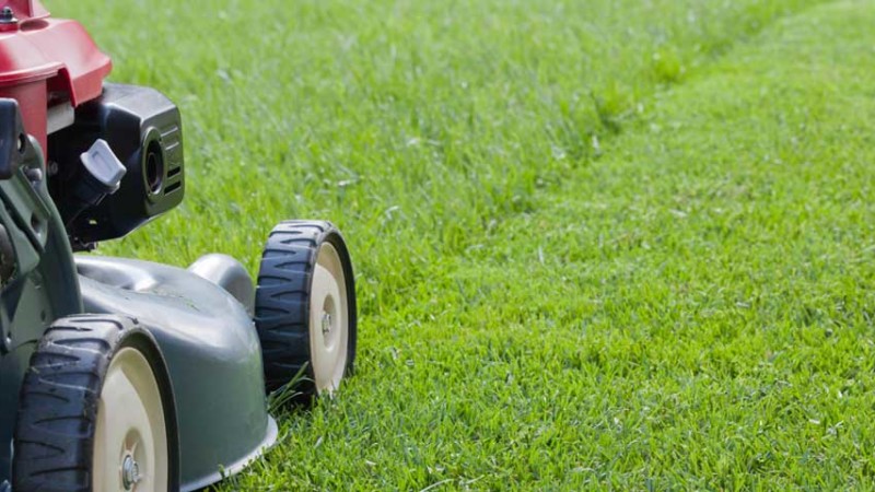Winter Storage: Lawn Mower