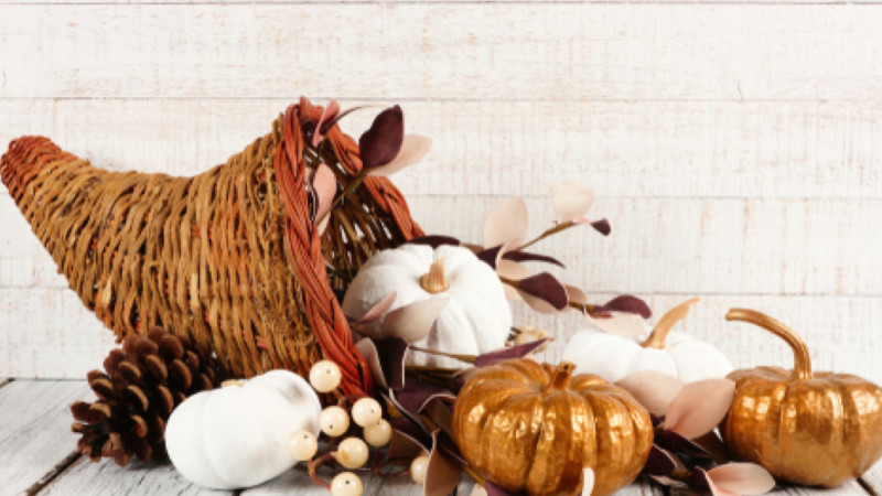 Adorable thanksgiving ideas